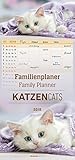 Image de Familienplaner Katzen 2018 - Familientermine / Familientimer (21 x 45) - 5 Spalten - Wandplaner