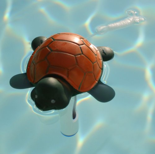 Pool Thermometer Schildkröte - 3