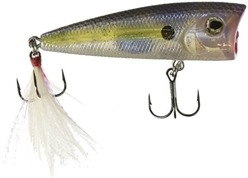 5302 Walk N Pop 67-1 Beauty Shad
