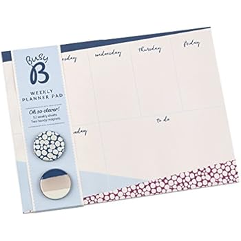 PAPERIAN Brilliant Weekly Scheduler - Wirebound Undated Weekly Planner ...