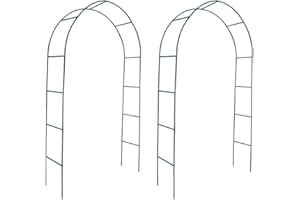 vidaXL 2X Arche de Jardin Plantes Grimpante Terrasse Patio Arceau à Rosiers