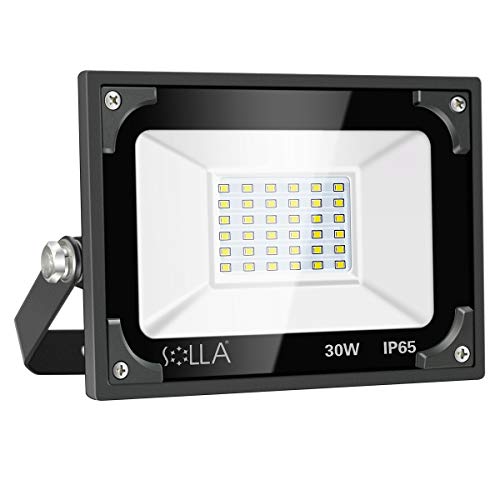Fari di sicurezza 30W, Riflettore LED super Luminoso 2400lm, 5000K Bianco Diurno, Riflettore per esterni, Giardino, Garage, Tetto, Patio