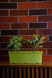 Garbnoire Rectangular Plastic Pots for Plants,16 Inch Flower Pots for Home, Window Display, Office, Garden - Set of (1, Green)