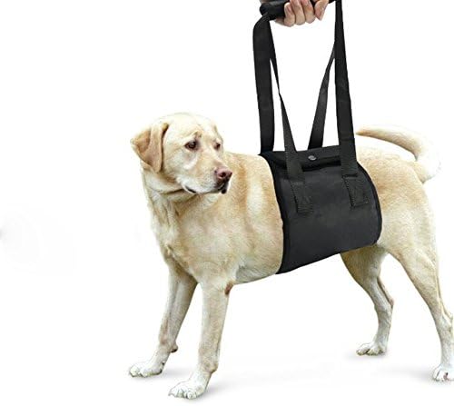 Dog Lift Harness Support Sling Helps Dogs With Weak Front or Rear Legs Stand Up Walk Get Into Cars Climb Stairs. (black)