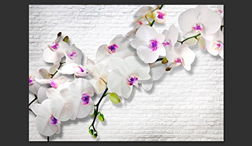 FOTOTAPETE 350×245 cm – VLIES TAPETE PREMIUM – PROFI QUALITÄT – 3 Farben zur Auswahl – Top moderne Wanddeko – Wandbilder XXL – Riesen Wandbild – Top Design Tapete – Neue exklusive Edition mit noch besser Druckauflösung – Deutsches Premium Vlies – Mauer Ziegel Blumen Orchidee b-A-0089-a-d - 4