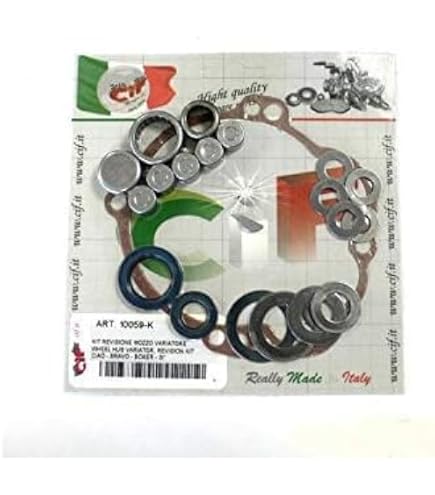 Variatore Originale Polini Con 2 Kit Rulli - 4,4g E 5,6g Per Ciclomotori Piaggio E Gilera - Foto 9