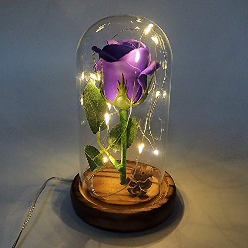 Jieway Beauty and The Beast Rose, Rose Light Dream Flower en una cúpula de Vidrio con luz LED USB Base de Madera Regalo para el día de San Valentín, Bodas