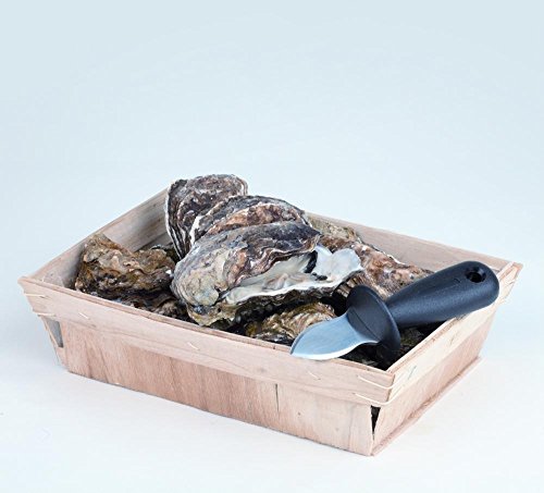 APS Austernöffner Länge 14 cm, Edelstahl mit geschärftem Rändern, zum ein- fachen Aufbrechen von Austern mit Fingerschutz Griff aus Nylon/Fiberglas - 2