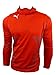 Produktbild Puma V-Kat Laufshirt Trainings Shirt langarm rot Gr.L