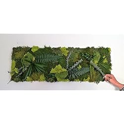 CALY DESIGN VEGETAL Tableau Cadre Mur VÉGÉTAL STABILISE XXL 90X30 CM