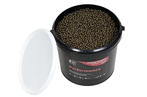 Koi-Futter Farbfutter Sommer, 6mm, 2kg – tolle Farbverstärkung der Koi durch hochwertigste Spirulina-Algen, starkes Wachstum – auch als Fisch-Futter - 2