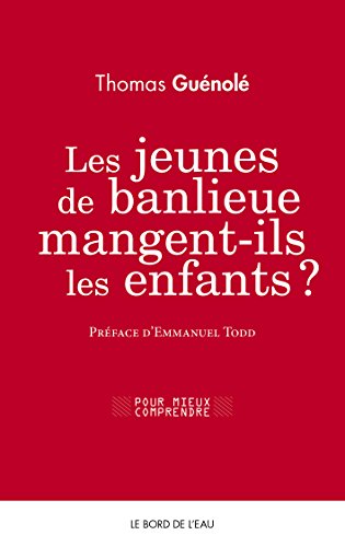 couverture de : Les jeunes de banlieue mangent-ils les enfants ?