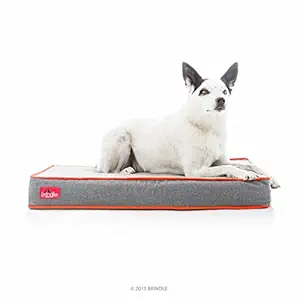 Brindle BRMMCV22PB Orthopedic Memory Foam Pet Bed, Charcoal Velour, Medium 34 x 22.