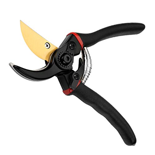 Vilapur 8 Inch Profesional Premium titanio Bypass Tijeras de podar (FT-01 - 002), jardinería de mano, jardín Cortauñas