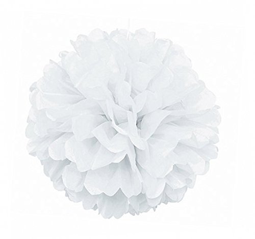 SUNBEAUTY 10er Set 20cm farbige Seidenpapier Blumen PomPoms Ball Party Geburtstag Feier Dekoration - 4