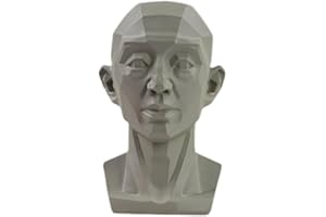 CTDWNT Planar Head Model for Artists, Head Model for Artist, 2-in-1 Original and Planar Face, Learn the Planes of the Head, Human Manicine Head for Medical and Artistic