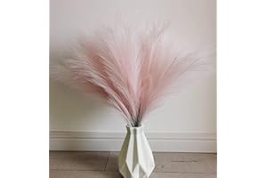 GEFIRE 30 Pièces Pampa Rose Fleurs Séchées Herbe de la Pampa Fleur Sechees Naturel Décoration Fleur Sechees, Pampa pour Mariage Maison Décor Bohème Salon