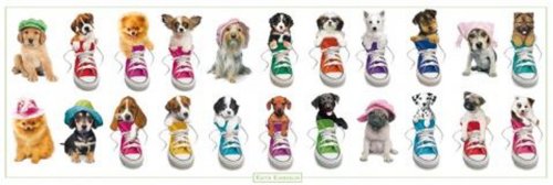 empireposter - Kimberlin, Keith - Sneakers and Hats - Größe (cm), ca. 158x53 - Türposter, NEU -
