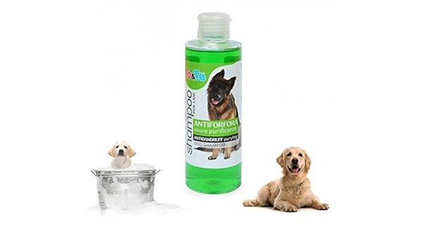 Mws2327 Pyrithione Zinc Anti Dandruff Shampoo With Active Ingredients And Panthenol 200 Io Te Purifying Action Amazon Co Uk Pet Supplies
