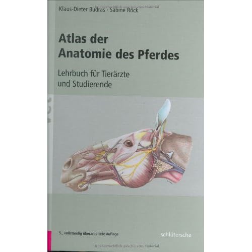 Pdf Atlas Der Anatomie Des Pferdes Lehrbuch Fur Tierarzte Und Studierende Kostenlos Download Entoptische Online Bucher Herunterladen 1