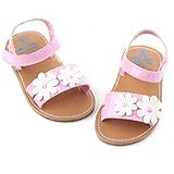 Omiky® Mode 2017 stilvolle Blume Babyg Mädchen Baby Schuhe Scarpe Haken und Loop Outdoor Schuhe (12CM, Gold)
