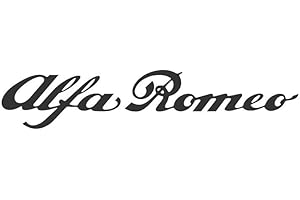 Galuisi Adesivo Sticker Scritta Auto Logo (Bianco Lucido, Small 10 * 2 cm)