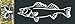 Produktbild Bones BP2496 4670-0263 Walleye Plotted Decal Fishing Equipment