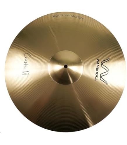Zildjian ZXT 14-Inch Trashformer Cymbal : Amazon.in: Musical