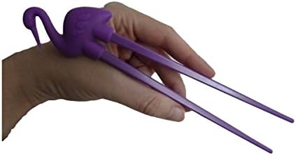 Unique Boutique Pelican Seniors Chopsticks for Beginners Kids Learning Chopsticks Purple Sticks for Reuse Your Bird Purple
