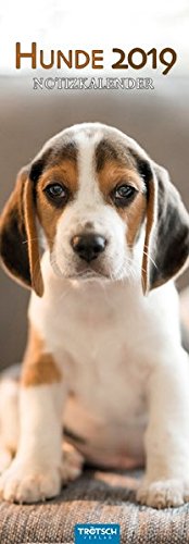 Price comparison product image Hunde 2019 Streifenkalender: Notizkalender