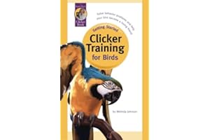 Getting Started: Clicker Training for Birds
