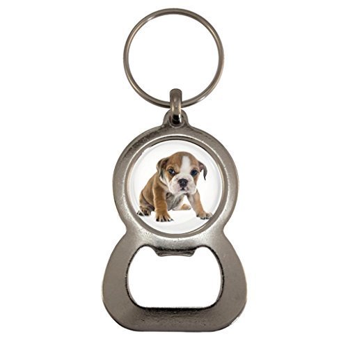 Englische Bulldogge Welpe Hund Bild Design Metall Flaschenöffner Schlüsselring in geschenkbox