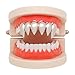 Produktbild Hip Hop Teeth TAOtTAO 1 Stücke Hip Hop Zähne Grillz Top Mund Zähne Grills Fashion Removable Dental Grills (Silber)