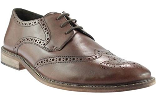 « Click to Enlarge and to go to Amazon »