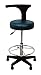 Groom Professional Black Adjustable Salon Multi Use Stool