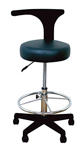 Groom Professional Black Adjustable Salon Multi Use Stool