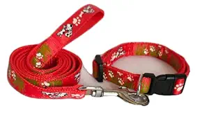 RvPaws Dog Collar and Leash Set Puppy Printed, Adjustable Nylon Collar with Leash for Small and Medium Dogs, Color-Full Collar Leash Set for Puppies, Dog & Cat 15 MM (Red)