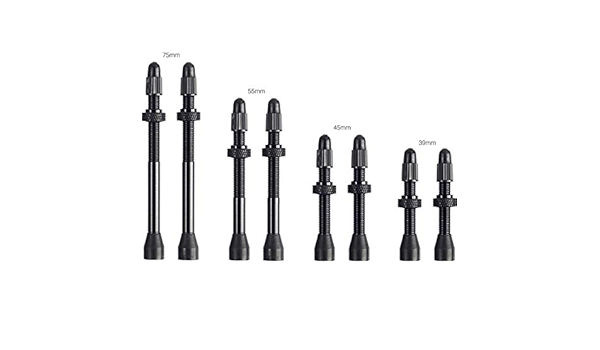 lifeline tubeless valves