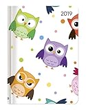 Image de Ladytimer Funny Owls 2019 - Eulen - Taschenkalender A6 - Weekly - 192 Seiten - Notizen