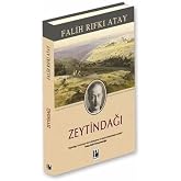 Mount of Olives - Special Edition (Hardcover)