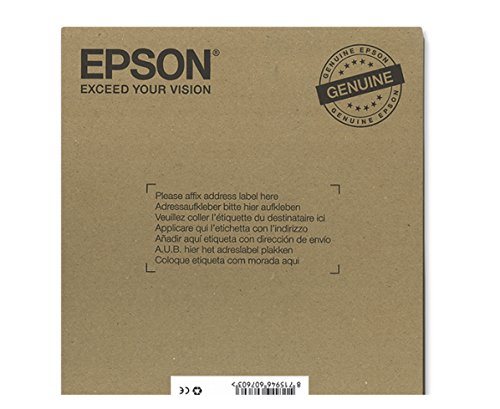 Epson Original T26 Tintenpatrone Eisbär XL, Multipack 4-farbig (Frustfreie Verpackung) - 4