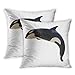 Produktbild Nekkzi Cushion Covers Set of Two Print Blue Jump Leaping Killer Whale Orca Orcinus White Dolphin Sofa Home Decorative Throw Pillow Cover 18x18 Inch Pillowcase Hidden Zipper