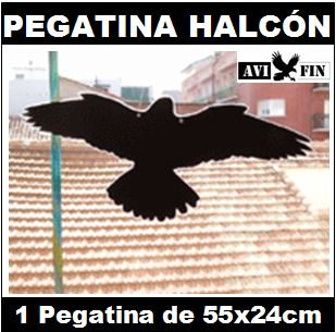 SILUETA PEGATINA HALCÓN AHUYENTADOR AVES: Evita impactos contra el cristal.