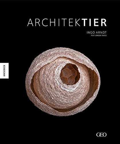 Download Architektier: Baumeister der Natur