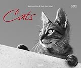 Cats 2012. PhotoArt Kalender by 
