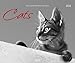 Cats 2012. PhotoArt Kalender - Jean-Louis Klein, Marie-Luce Hubert