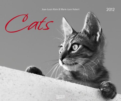 Cats 2012. PhotoArt Kalender