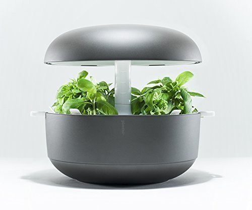 Preisvergleich Produktbild Plantui 6 Smart Garden Mini-Gewächshaus, grau