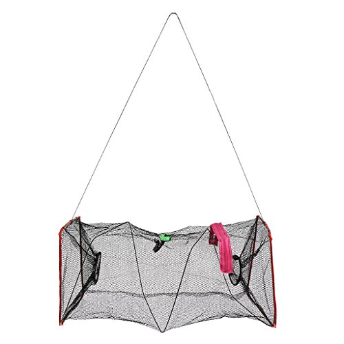 MagiDeal Portable Pliable Cage en Filet Piège à Pêche Attirail pour Pêcheur Ecrevisses/Crevettes/Crabe/Homard