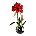 Produktbild wohnfuehlidee Kunstpflanze Amaryllis, Farbe rot, im silberfarbenenTopf, Höhe ca. 45 cm